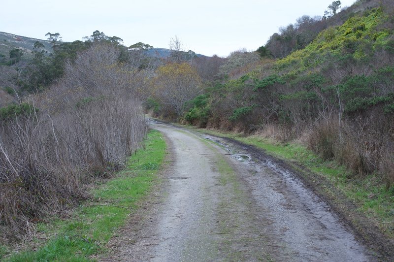 The trail follows an old farm road for the first mile.  Made up of gravel and dirt, it makes for easy walking.