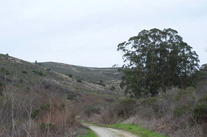 The road winds through a narrow valley.