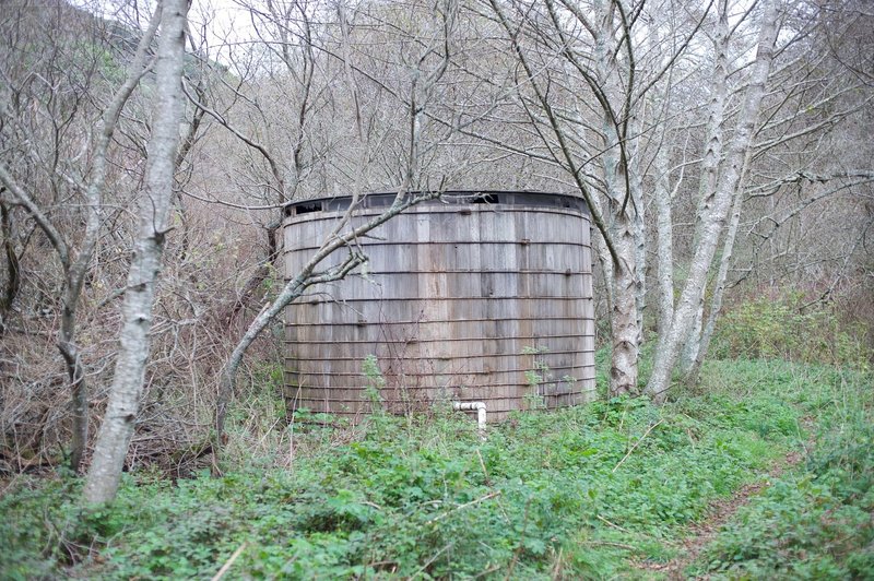 At the end of the trail, you encounter two wooden water tanks above Mills Creek that service the park residence downstream.
