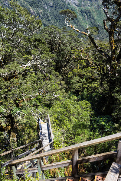 Steep stairs next to the smaller waterfalls on Roaring Burn