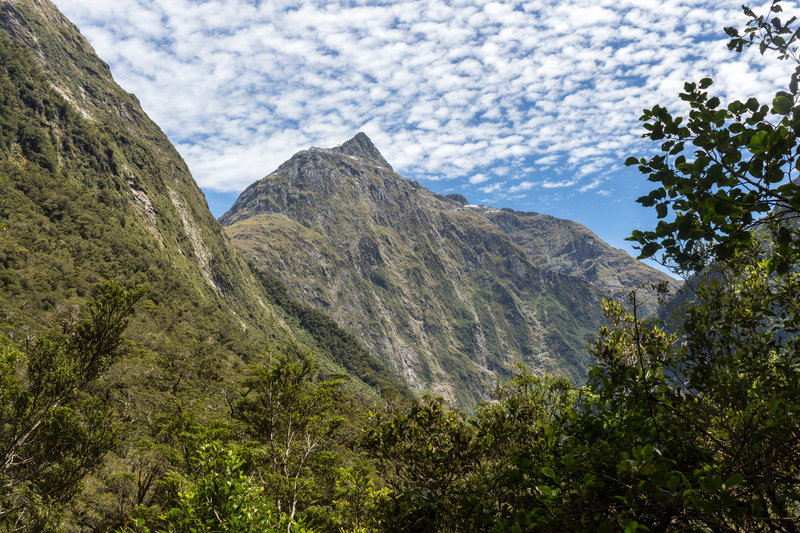 Twin Sisters from Dudleigh Falls