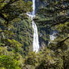 Sutherland Falls through the trees