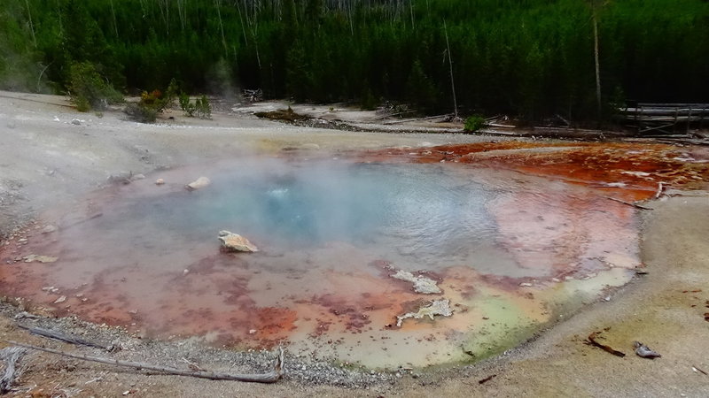 The Beauty Geyser in Norris Geyser Basin