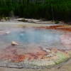 The Beauty Geyser in Norris Geyser Basin