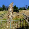 Petrified Tree at Tower Junction, WY.