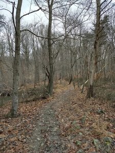 Along the orange trail