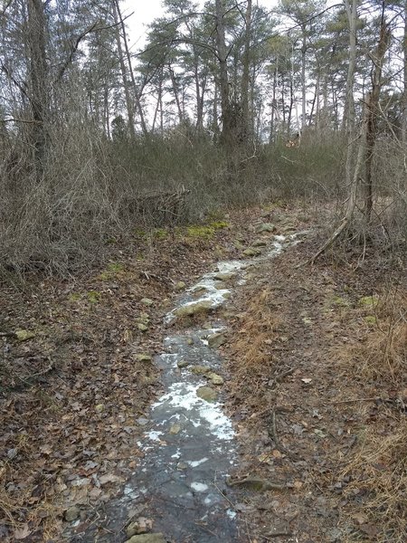 Ice covering the rocks and boulders of the purple trail