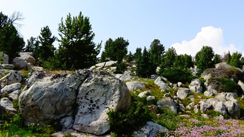 The amazing views provided by the Shoshone Wilderness