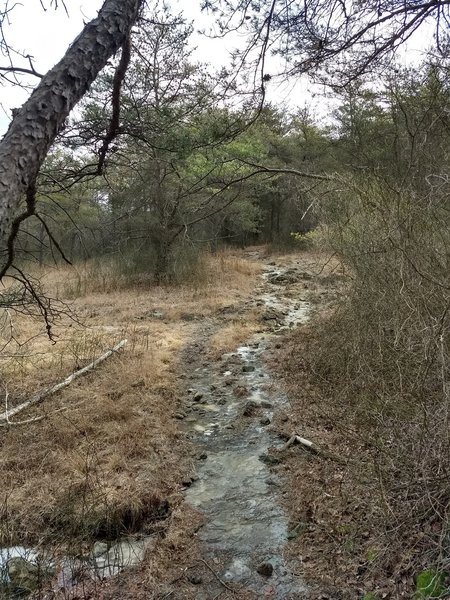 The rocky yellow trail