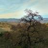 Great view of the Diablo Range in the distance, across Santa Clara Valley, when looking northeast from high on Canada del Oro Trail