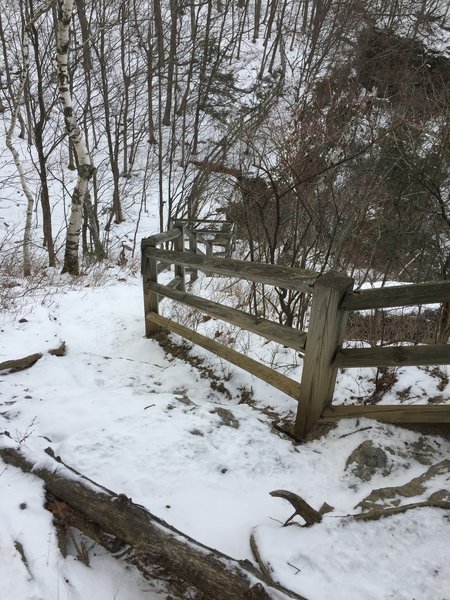 1 technical section on the Escarpment Trail that can be easily avoided.