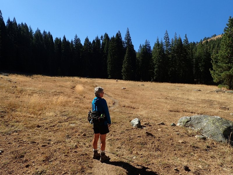 One of the meadows along the East Boulder Lake Trail