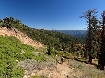 Mount Shasta in view just before the junction with the PCT