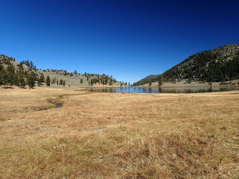 Meadows on the south end of East Boulder Lake