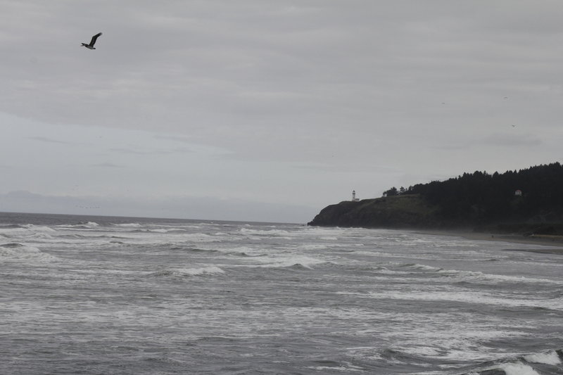 Looking North towards the North Head Lighthouse.