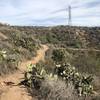 Canyon trail descent