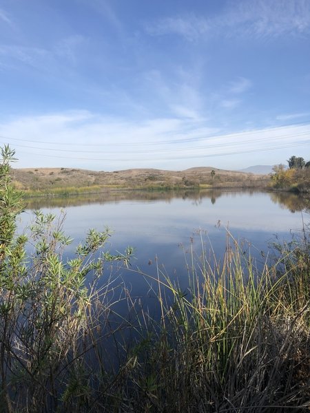 Barbara’s Lake