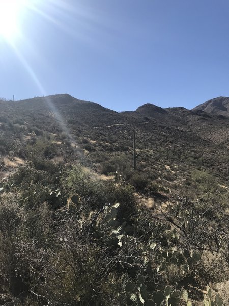 Looking west in the first ~1.5 miles of the trail