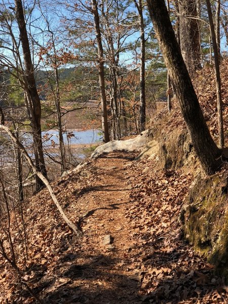 Trail with a view