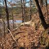 Trail with a view