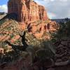 A view of Courthouse Butte