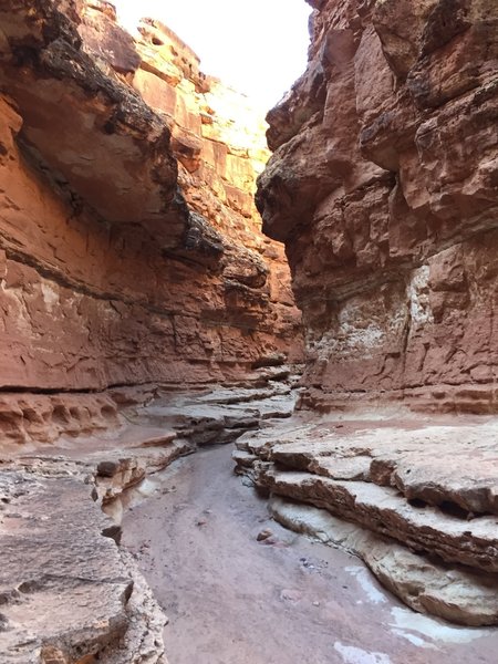 Ascending out the Cathedral Wash slot canyon level by level...a very adventuresome route!