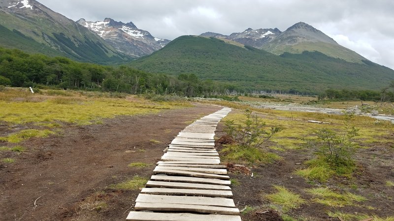 Walkway across a peatbog (turbal)