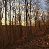 Evening view down Whitmore Park Trail