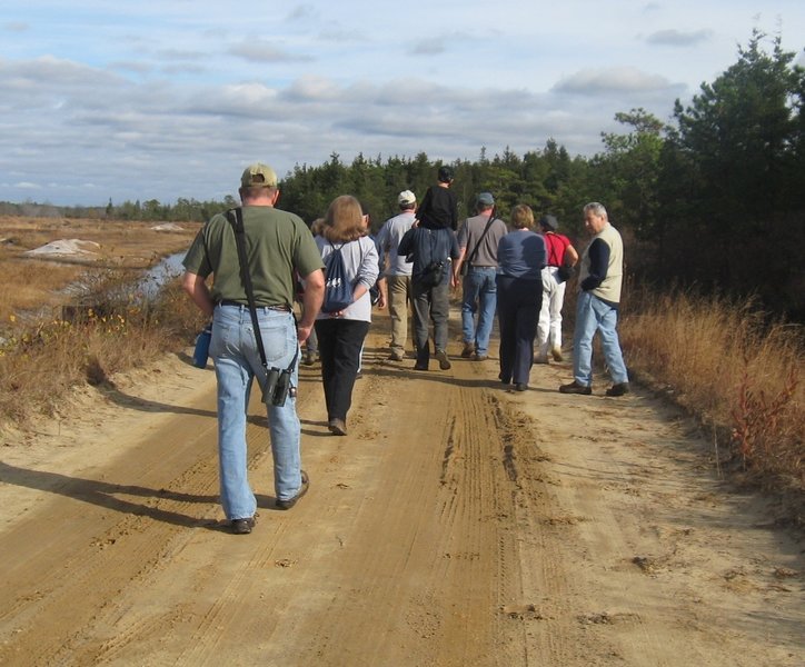 Hikers heading toward Rome on the bog trail