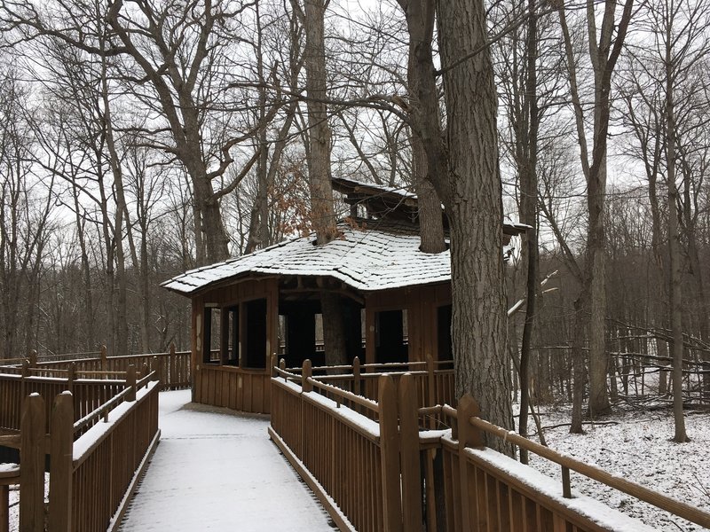 Everybody's Treehouse!