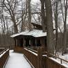 Everybody's Treehouse!