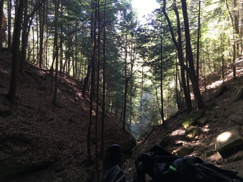 Looking down ravine off Whispering Cave Trail.