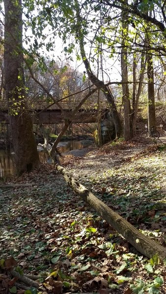 Where the Blue Trail meets the Red Trail at the doggy swimming hole.