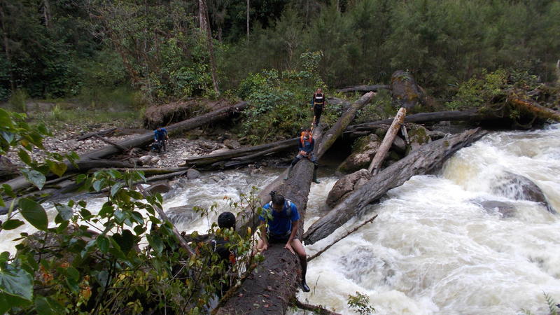 cross the river with tree bridge - trekking carstensz pyramid