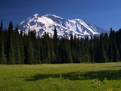 Mount Adams from the Stagman Ridge Trail.