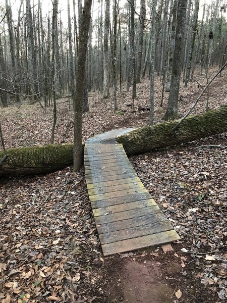 A neat bike ramp to get over a tree.