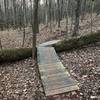 A neat bike ramp to get over a tree.