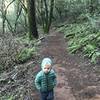 Brooks hiking the fern elevation.