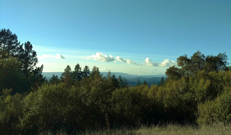 Looking out over the Santa Cruz Mountains from high on Sulphur Springs Road.