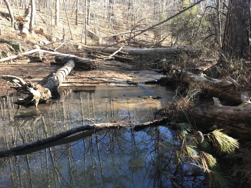 Several spots along the first half of the trail offer creek access with spots to sit and relax.