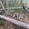 Reaching the dry foot crossing at Beech Creek.