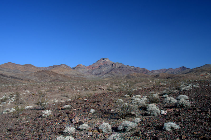 Corkscrew Peak from Daylight Pass Road.