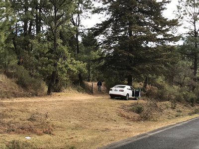 Grassy area on the north side on the road for parking.