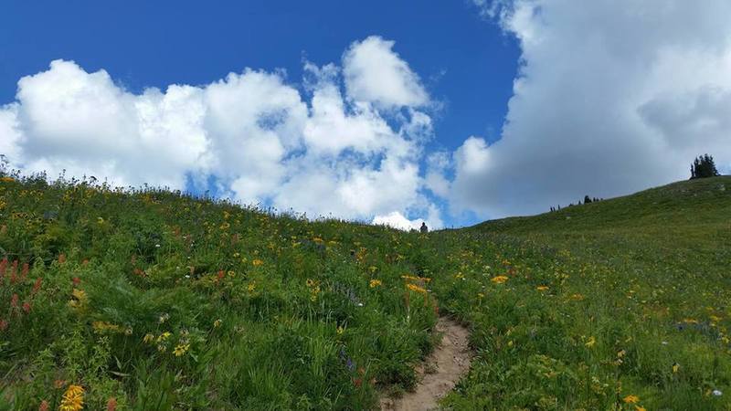 Approaching the false summit.