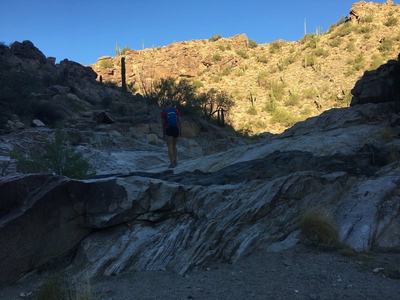 Making our way through the bottom of the canyon