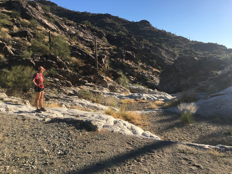 The rocky/sandy bottom of the canyon that makes up a portion of the trail.