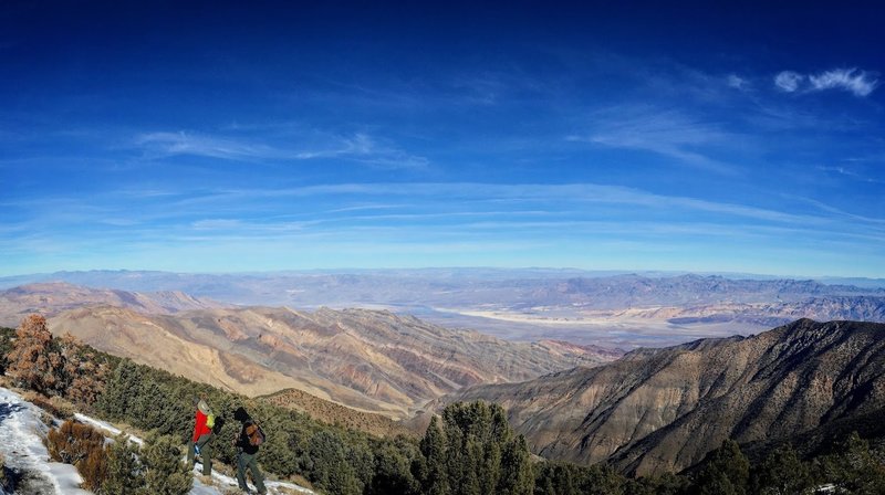 Wildrose Peak trail offers day hikers a magnificent view of the valley floor 9,000' below.