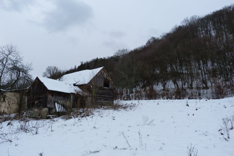 Abandoned house next to the trail