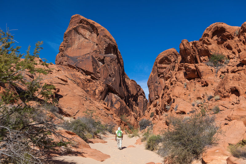 Fire Canyon Wash