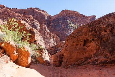 Sandy Fire Canyon Wash Trail